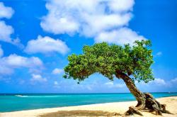 爱游戏官方-约基奇，总决赛舞台的终极主宰者