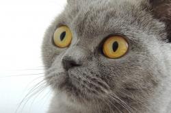 爱游戏官方-深圳的灯光为谁而亮？布克50分三双引爆跨洋对决