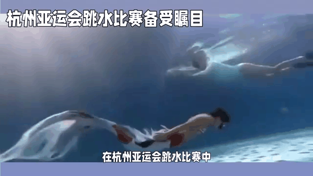 阿尔及利亚队备战关键比赛，备受瞩目
