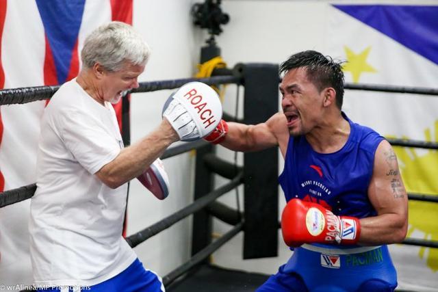 拳击迎来宿敌之战，恩怨再续的简单介绍