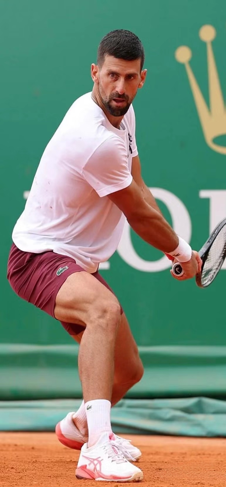 蒙特卡洛大师赛鏖战美网,德约科维奇状态火热 蒙特卡洛大师赛鏖战美网,德约科维奇状态火热