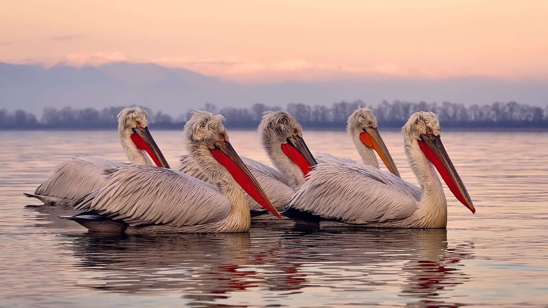 命运之夜，阿尔瓦雷斯在德甲争冠战的废墟之上起舞