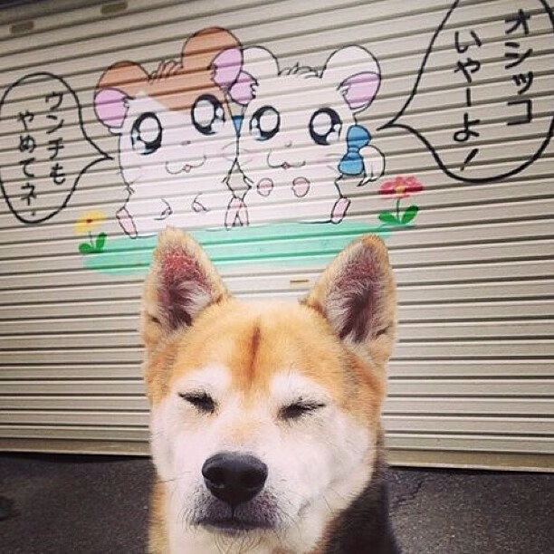 贝恩狂轰38分创生涯新高!活塞爆冷狂胜森林狼