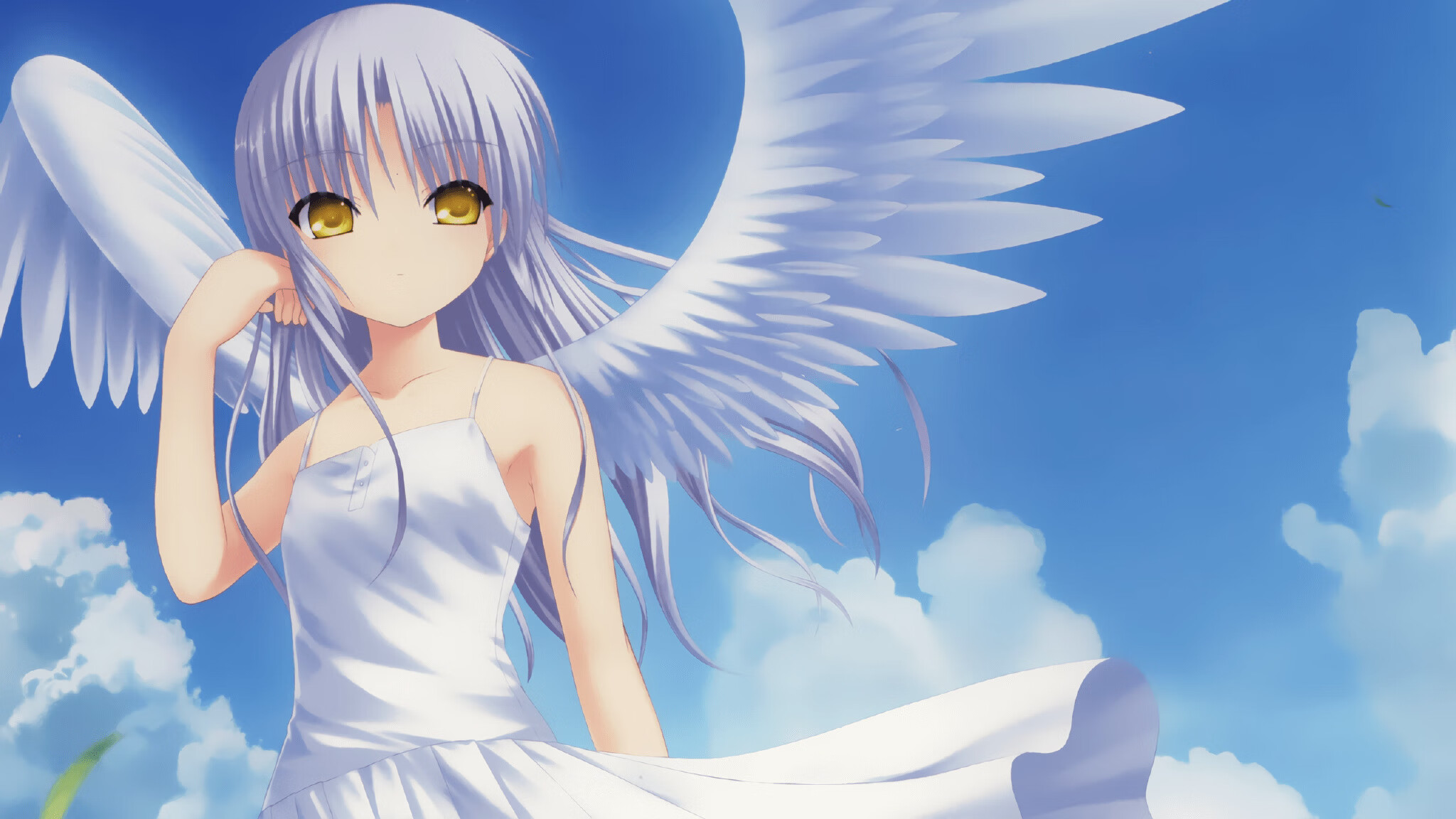 东西方篮球同一开拓内核,在淘汰的刀锋上开出倔强之花