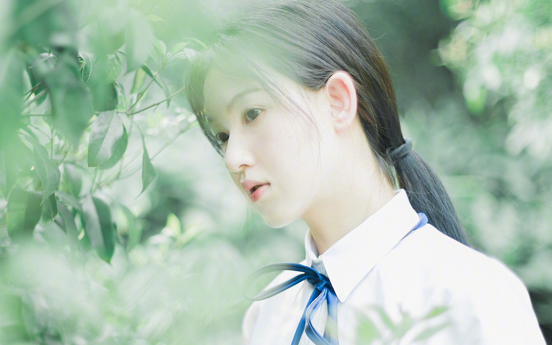 闪耀安联球场！克瓦拉茨赫利亚跨越战火的弧线，拜仁强势晋级彰显足球双面