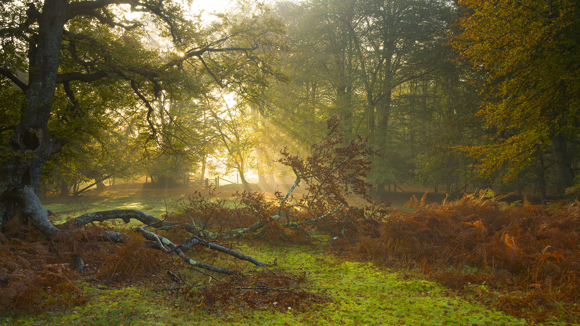 双重炼狱，当爱德华兹在粉碎雷霆的压力夹缝中爆发